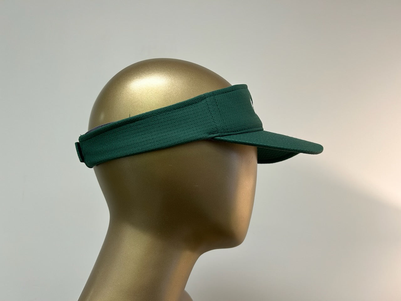Visor